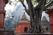 Катманду. Пашупатінатх.Трекінг в Непал