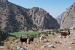Поход в Фанские горы, Таджикистан с "Шалені Мандри"