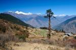 Треккинг в Непале. Лангтанг и Хеламбу.