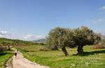 Пешеходный поход по Кипру с "Шалені Мандри"
